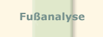 fussanalyse